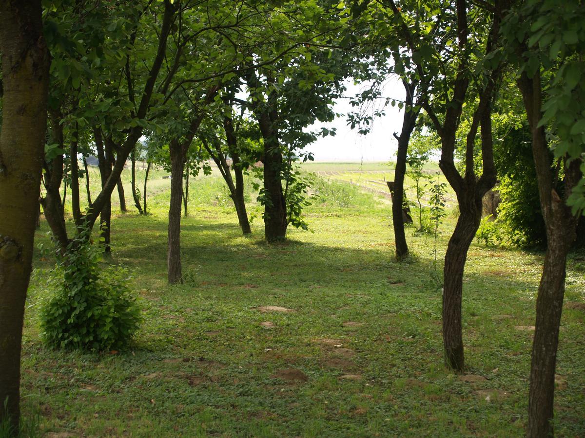 Hotel Pannonia Terranova Vardarac Exteriér fotografie